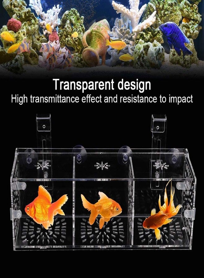 Hffheer Fish Breeding Isolation Box Aquarium Acclimation Hatchery Incubator Acrylic Transparent Aquarium Hatchery Incubator Holder(30CM*10CM*10CM) - Image 3